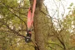 MORE4x4 Lumberjacks 2m / 12 t cusătură dublă, roșu