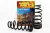 Terrain Tamer Coils spirálrugó hátsó +40mm +300-500Kg Ford Everest 2015->